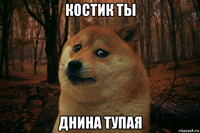 костик ты днина тупая, Мем SAD DOGE