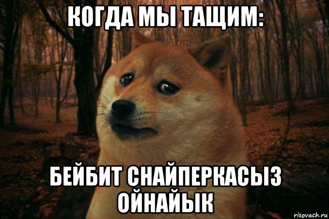 когда мы тащим: бейбит снайперкасыз ойнайык, Мем SAD DOGE