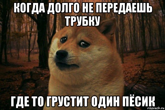 когда долго не передаешь трубку где то грустит один пёсик, Мем SAD DOGE