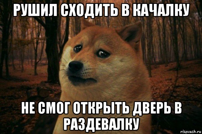 рушил сходить в качалку не смог открыть дверь в раздевалку, Мем SAD DOGE