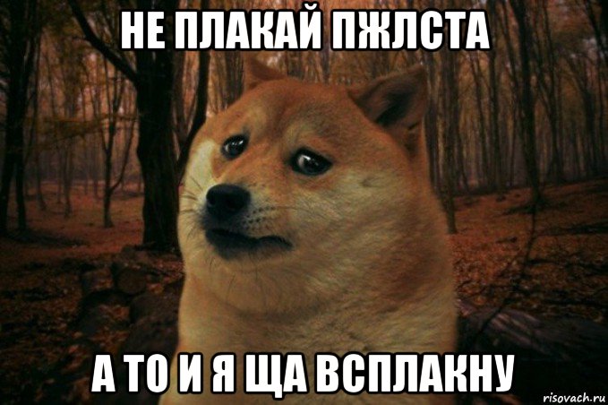 не плакай пжлста а то и я ща всплакну, Мем SAD DOGE