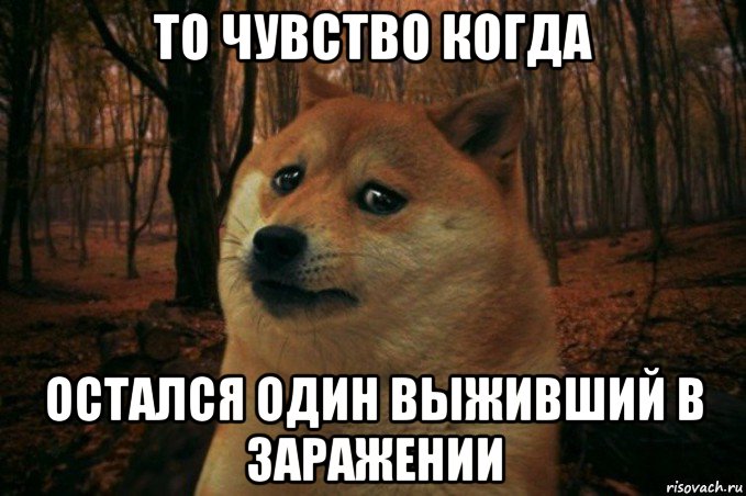 то чувство когда остался один выживший в заражении, Мем SAD DOGE