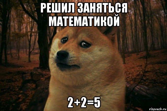 решил заняться математикой 2+2=5, Мем SAD DOGE