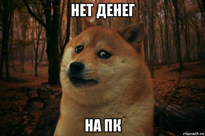 нет денег на пк, Мем SAD DOGE