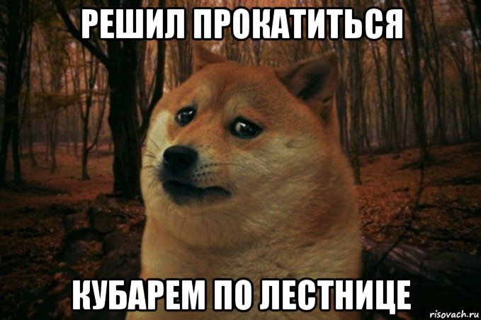 решил прокатиться кубарем по лестнице, Мем SAD DOGE