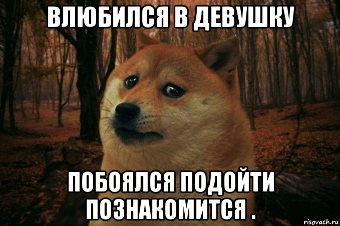 влюбился в девушку побоялся подойти познакомится ., Мем SAD DOGE