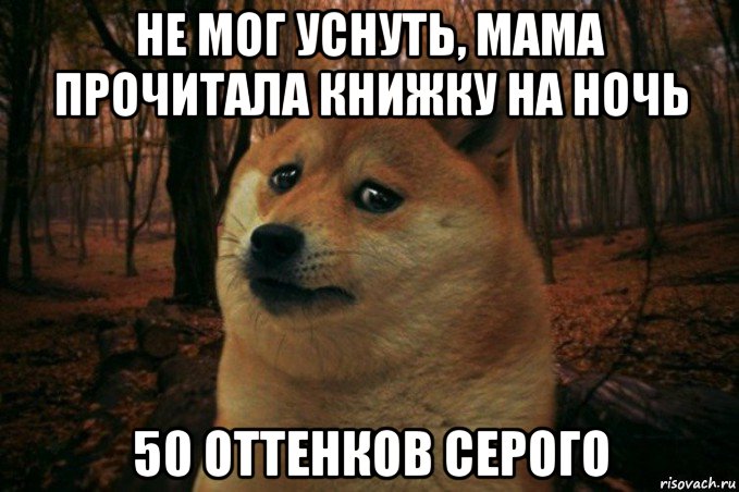 не мог уснуть, мама прочитала книжку на ночь 50 оттенков серого, Мем SAD DOGE