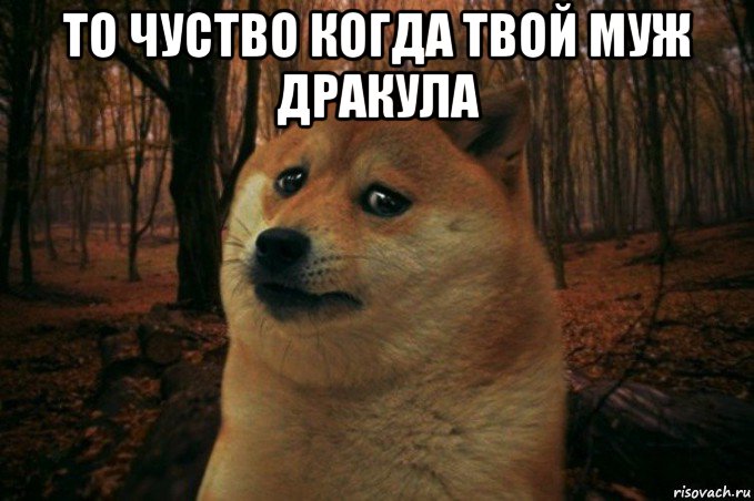 то чуство когда твой муж дракула , Мем SAD DOGE