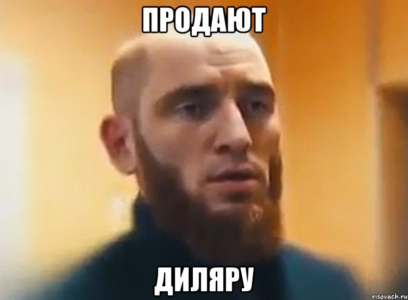 продают диляру, Мем Шучу