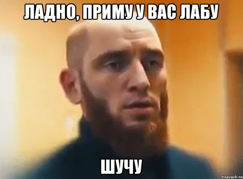 ЛАДНО, ПРИМУ У ВАС ЛАБУ ШУЧУ, Мем Шучу