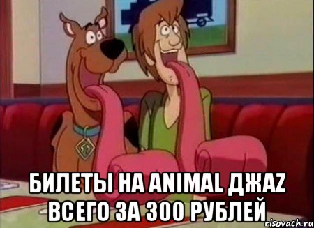  БИЛЕТЫ НА ANIMAL ДЖАZ ВСЕГО ЗА 300 РУБЛЕЙ