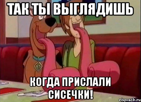 Так ты выглядишь Когда прислали сисечки!, Мем Скуби ду