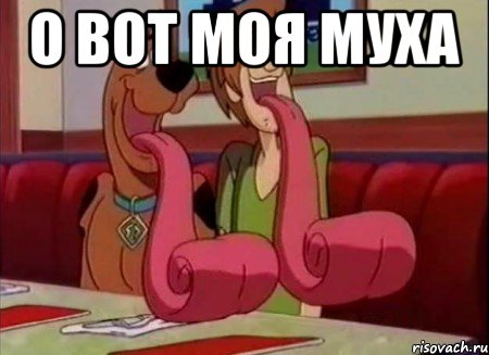 о вот моя муха , Мем Скуби ду