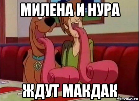 милена и нура ждут макдак