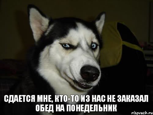 Сдается мне, кто-то из нас не заказал обед на понедельник, Комикс  Собака подозревака