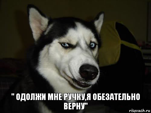 " одолжи мне ручку,я обезательно верну", Комикс  Собака подозревака