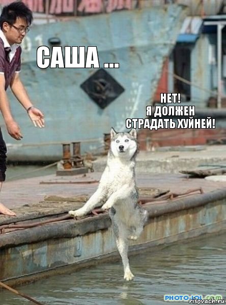 Саша ... нет!
я должен страдать хуйней!, Комикс   собака я должен танцевать