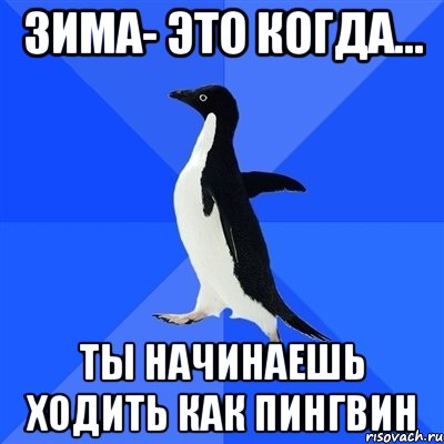 Зима- это когда... Ты начинаешь ходить как пингвин, Мем  Социально-неуклюжий пингвин