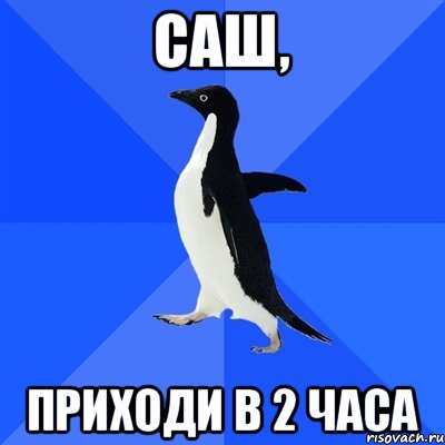 Саш, приходи в 2 часа, Мем  Социально-неуклюжий пингвин