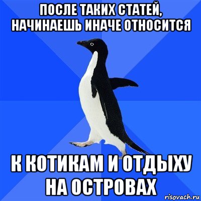 после таких статей, начинаешь иначе относится к котикам и отдыху на островах, Мем  Социально-неуклюжий пингвин