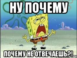 ну почему почему не отвечаешь?!, Мем Спанч Боб плачет