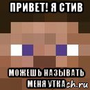 привет! я стив можешь называть меня утка, Мем стив