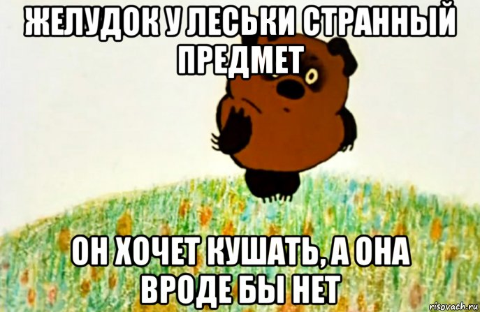 желудок у леськи странный предмет он хочет кушать, а она вроде бы нет, Мем ВИННИ ПУХ