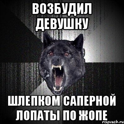 Возбудил девушку Шлепком саперной лопаты по жопе, Мем Сумасшедший волк