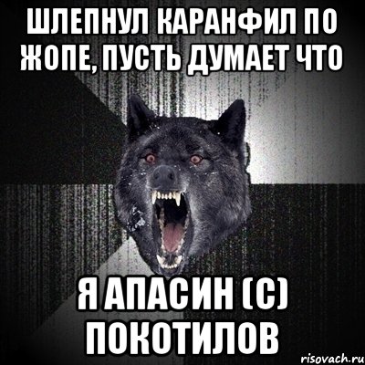 Шлепнул Каранфил по жопе, пусть думает что я АПАСИН (С) Покотилов, Мем Сумасшедший волк