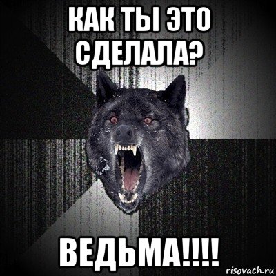 как ты это сделала? ведьма!!!!, Мем Сумасшедший волк