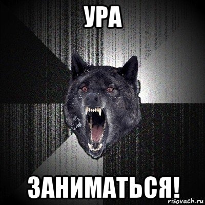 ура заниматься!, Мем Сумасшедший волк