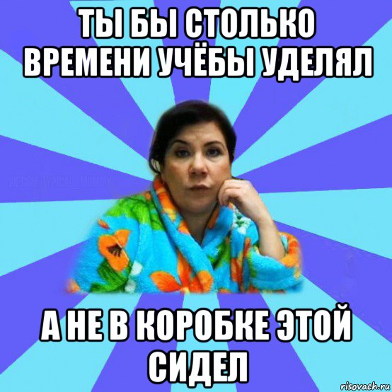 ты бы столько времени учёбы уделял а не в коробке этой сидел, Мем типичная мама