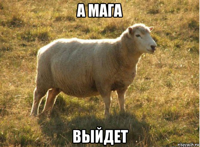 а мага выйдет