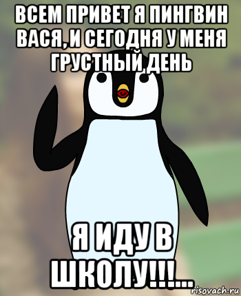 всем привет я пингвин вася, и сегодня у меня грустный день я иду в школу!!!..., Мем Типичный олимпиадник