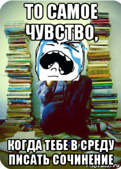 то самое чувство, когда тебе в среду писать сочинение, Мем Типовий десятикласник