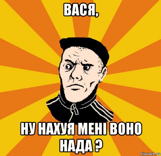 вася, ну нахуя мені воно нада ?, Мем Типовий Титушка