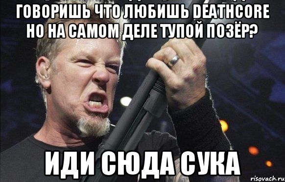 Говоришь что любишь Deathcore Но на самом деле тупой позёр? Иди сюда сука, Мем То чувство когда