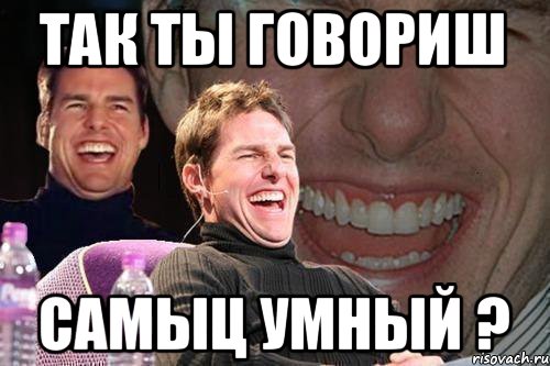 так ты говориш самыц умный ?, Мем том круз