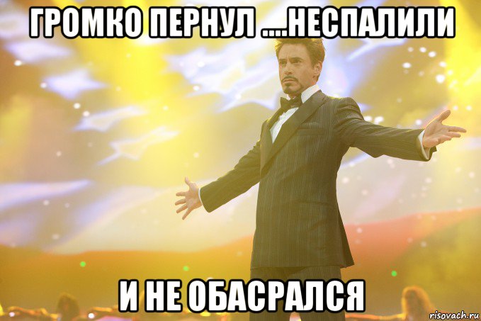 громко пернул ....неспалили и не обасрался, Мем Тони Старк (Роберт Дауни младший)