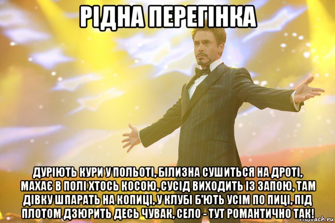 рідна перегінка дуріють кури у польоті, білизна сушиться на дроті, махає в полі хтось косою, сусід виходить із запою, там дівку шпарать на копиці, у клубі б'ють усім по пиці, під плотом дзюрить десь чувак, село - тут романтично так!, Мем Тони Старк (Роберт Дауни младший)