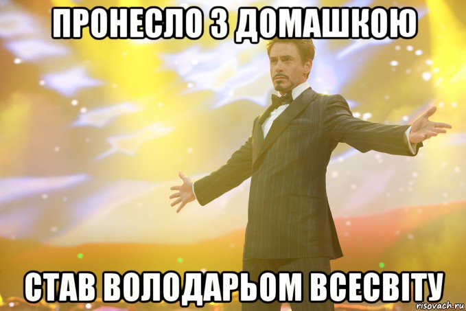 пронесло з домашкою став володарьом всесвіту, Мем Тони Старк (Роберт Дауни младший)