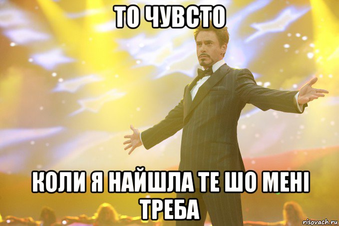 то чувсто коли я найшла те шо мені треба, Мем Тони Старк (Роберт Дауни младший)