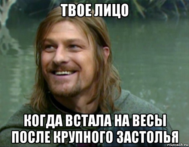 твое лицо когда встала на весы после крупного застолья, Мем Тролль Боромир