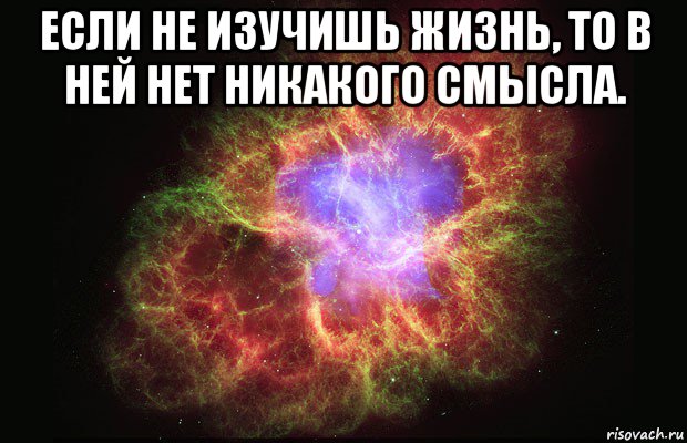 если не изучишь жизнь, то в ней нет никакого смысла. , Мем Туманность