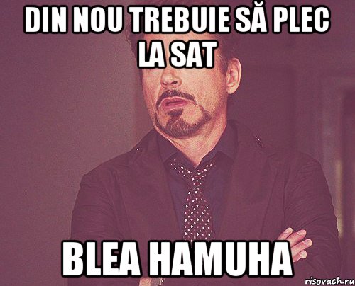 Din nou trebuie să plec la sat blea hamuha, Мем твое выражение лица