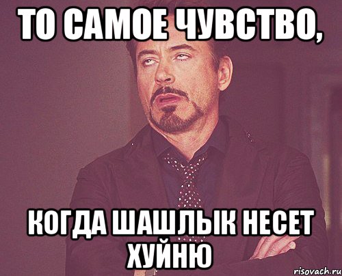 То самое чувство, Когда шашлык несет хуйню, Мем твое выражение лица