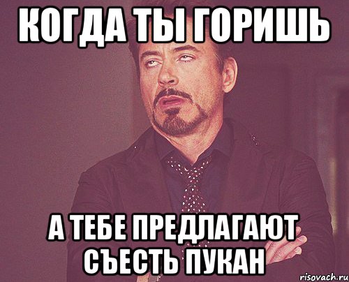 когда ты горишь а тебе предлагают съесть пукан, Мем твое выражение лица