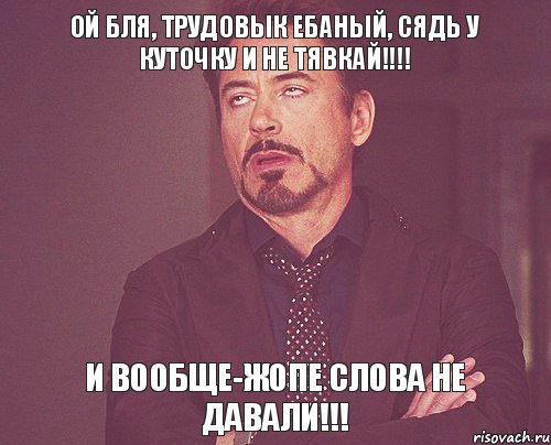 ой бля, трудовык ебаный, сядь у куточку и не тявкай!!!! и вообще-жопе слова не давали!!!, Мем твое выражение лица