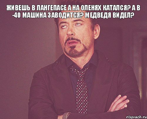 живешь в лангепасе а на оленях катался? А в -40 машина заводится? Медведя видел? , Мем твое выражение лица