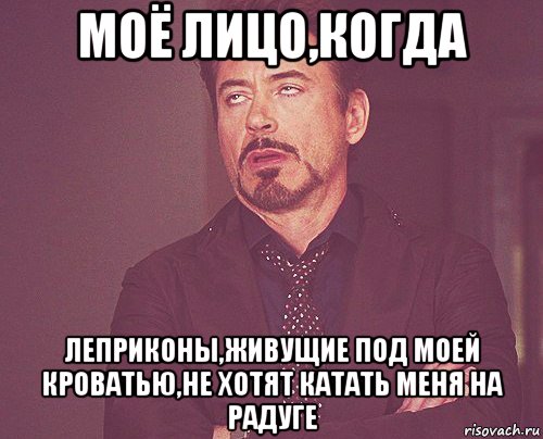 моё лицо,когда леприконы,живущие под моей кроватью,не хотят катать меня на радуге, Мем твое выражение лица